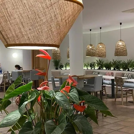 Hotel Boutique El Tio Kiko 3*