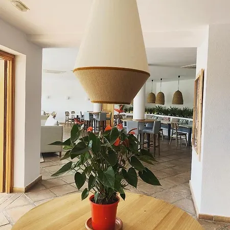 Boutique El Tio Kiko Hotel Agua Amarga (Almeria)